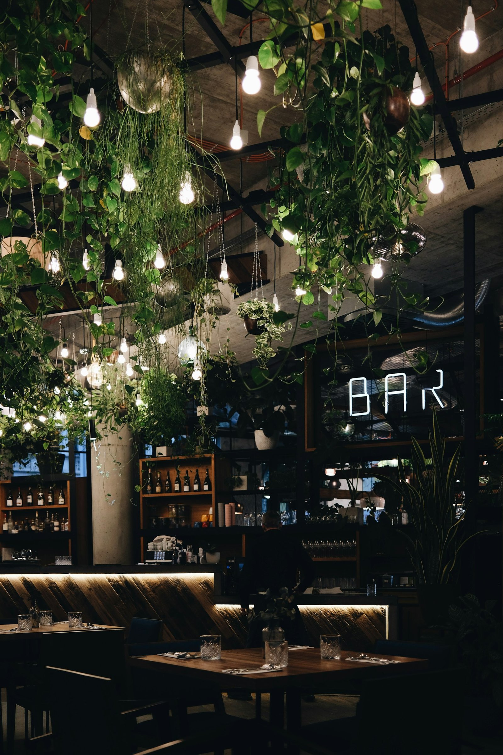 Copal dining room at dusk