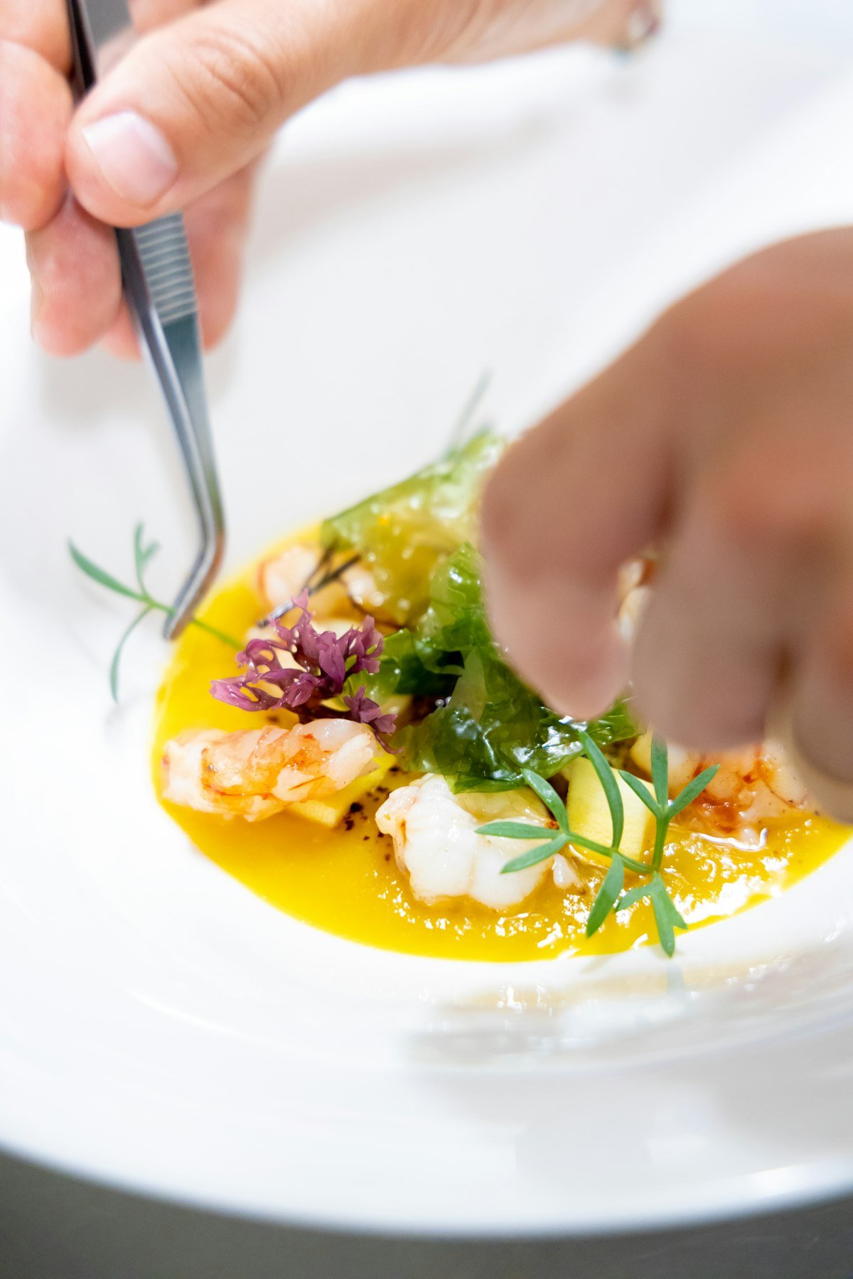 A plated dish at Maison Lune