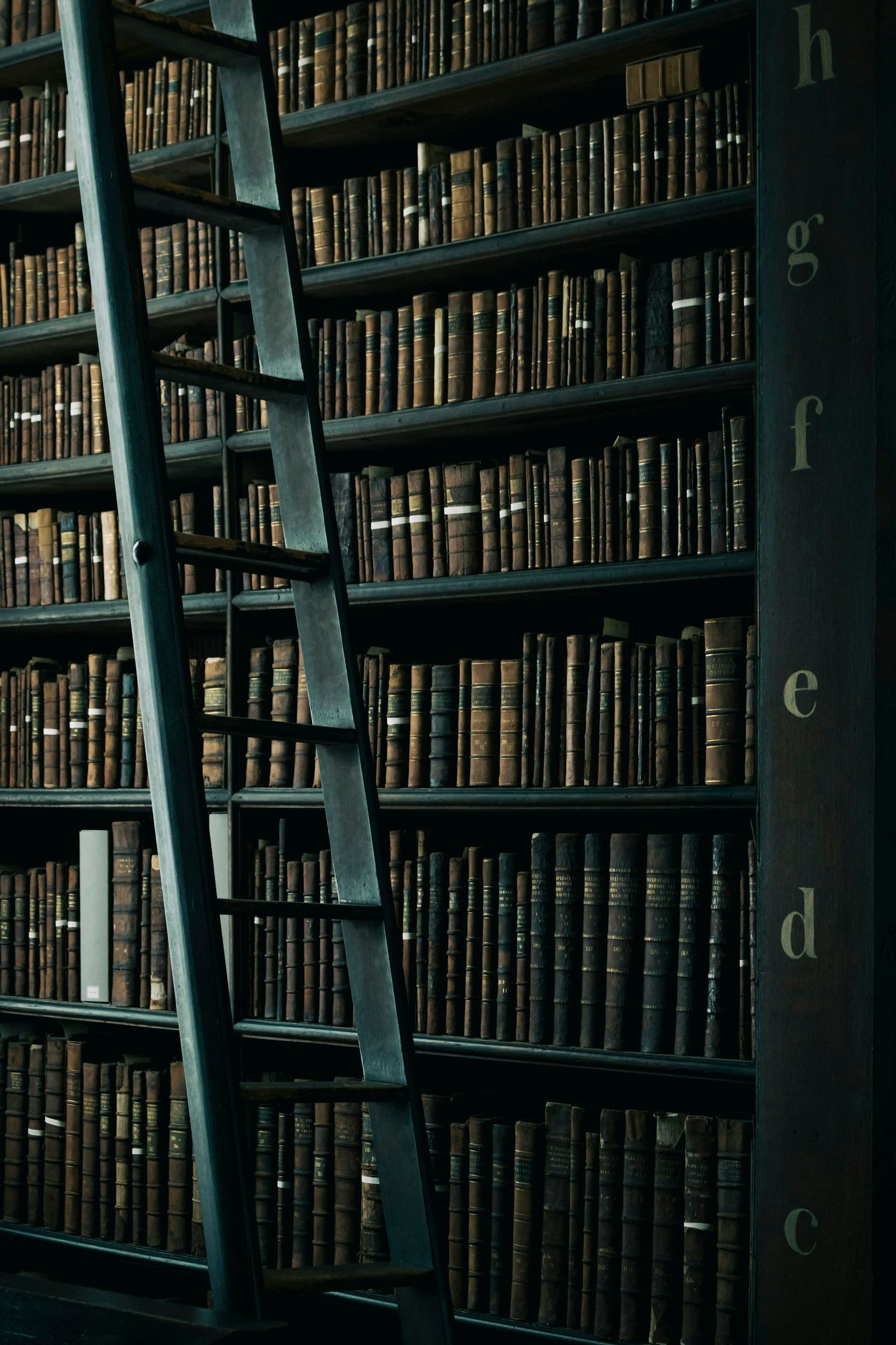 Law library with leather-bound volumes