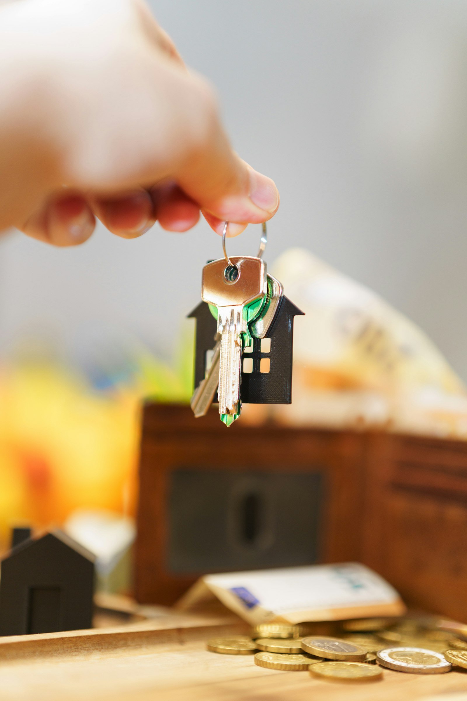 Head of Property Verification